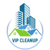 vipcleanupllc.com